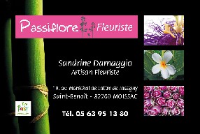 Passiflore Fleuriste Moissac