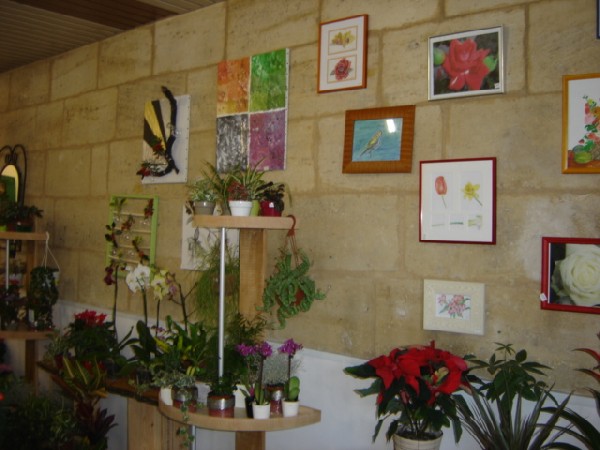 intérieur de la boutique, coté plantes avec vue sur les tableaux décoratifs artistiques et floraux