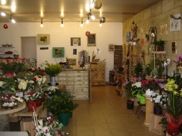 intérieur de la boutique, vue de la porte d'entrée, avec dans le fond les tableaux végétaux muraux, conception et fabrication personnelle.