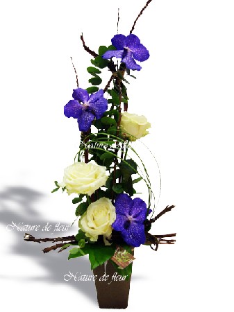 Composition épurée d'Orchidée Vanda "Blue Magic" et Roses blanches "Avalanche".
