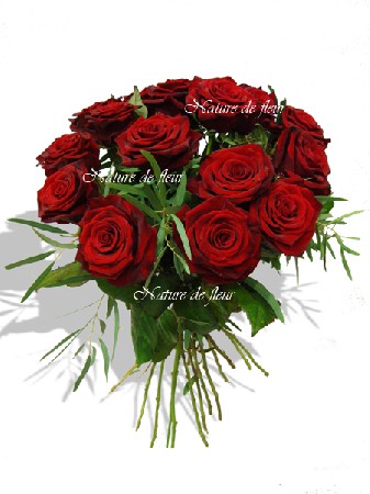 Bouquet de Roses rouges "red Naomi". Symbolise la Passion.