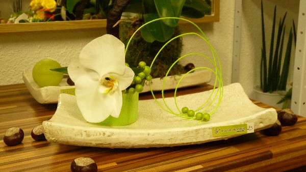 Fleuron d'orchidée à croquer !!!