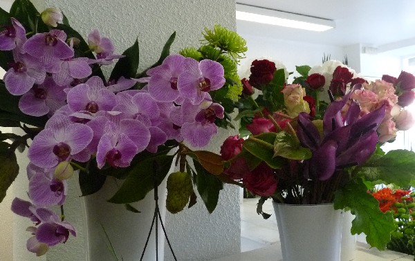 Fleurs fraîches,orchidées,anthuriums...